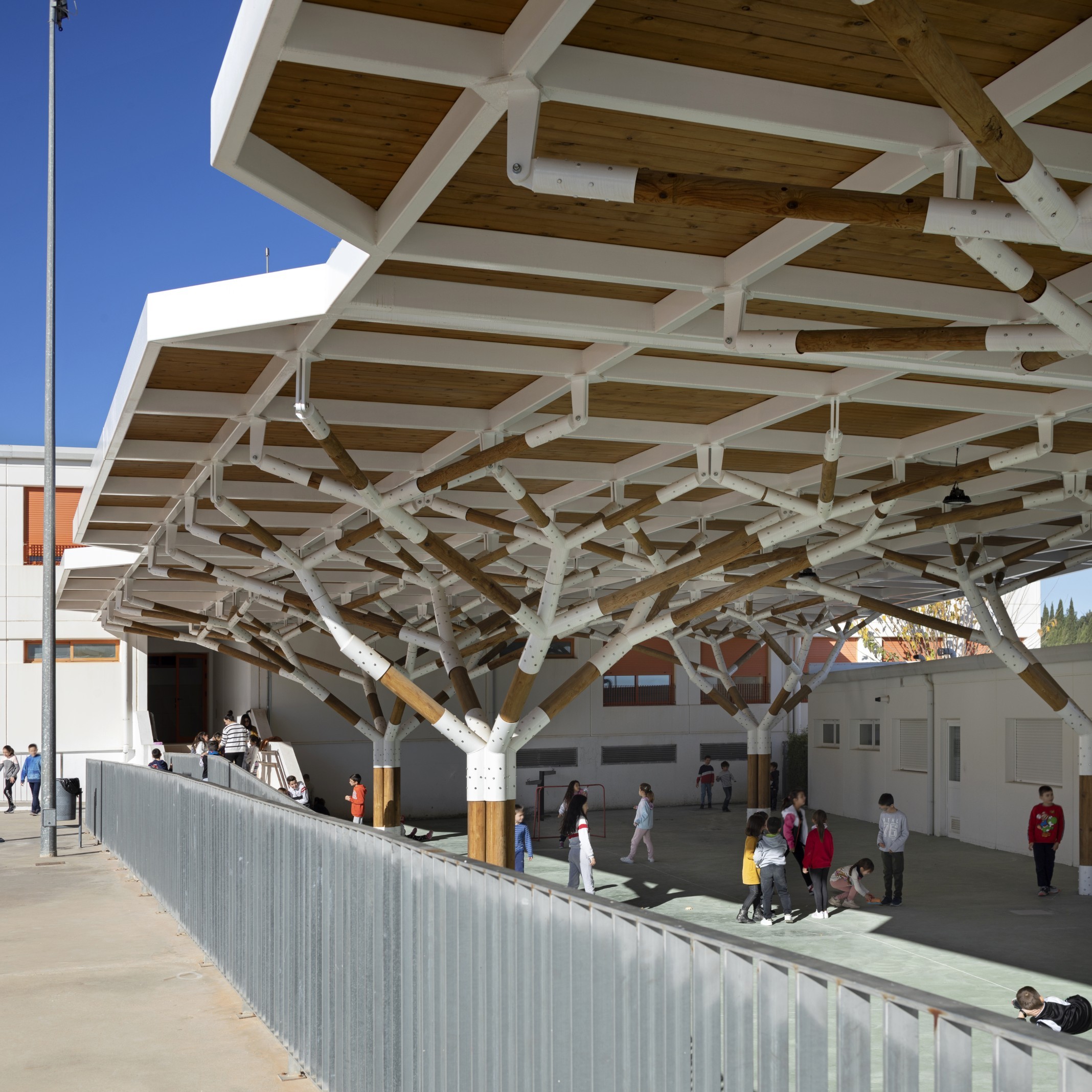 La Pea Schoolyard Canopy